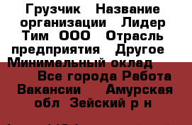 Грузчик › Название организации ­ Лидер Тим, ООО › Отрасль предприятия ­ Другое › Минимальный оклад ­ 16 000 - Все города Работа » Вакансии   . Амурская обл.,Зейский р-н